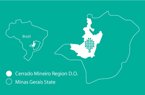 Café Brésil 100% arabica Cerrado Mineiro Beloni – Image 4